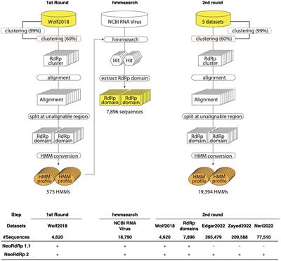 NeoRdRp2 with improved seed data, annotations, and scoring